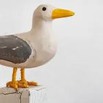 Affittacamere Gaestehaus Vogel Horumersiel